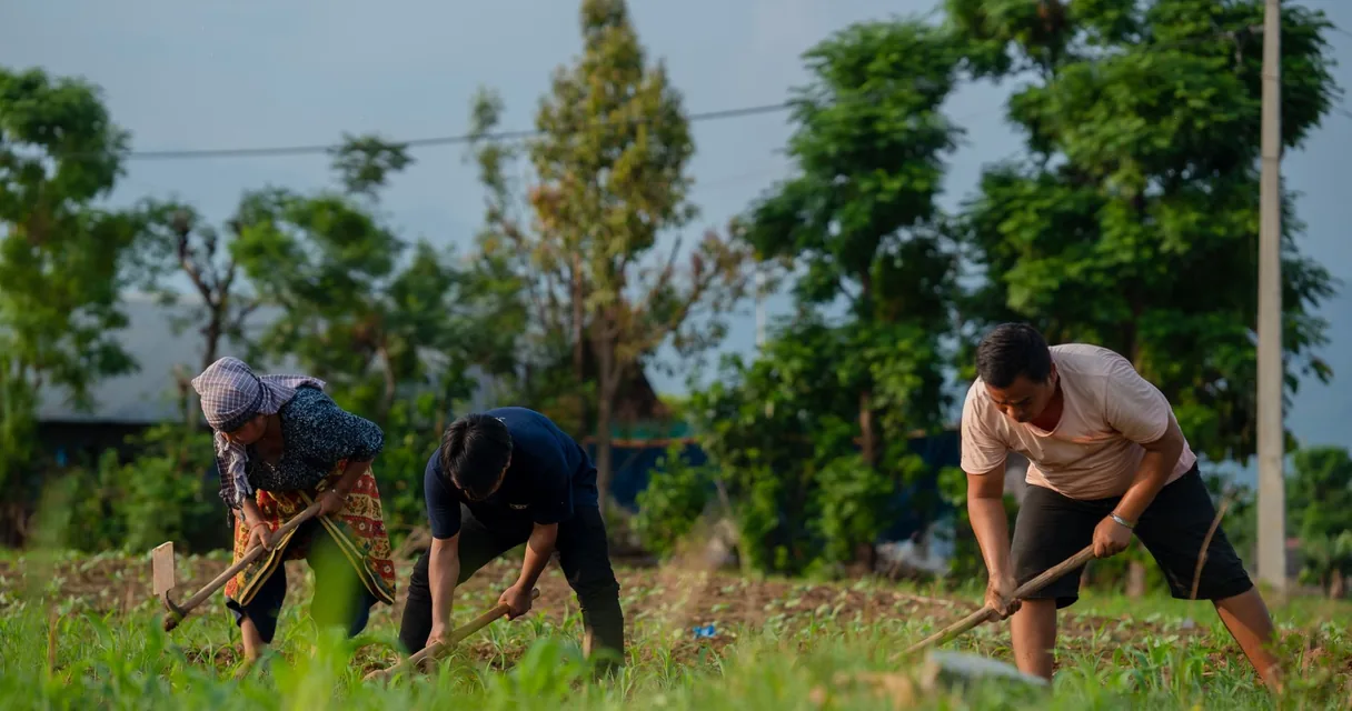 Grupo capinando a terra em uma plantação ao ar livre, laborterapia em comunidade terapêutica